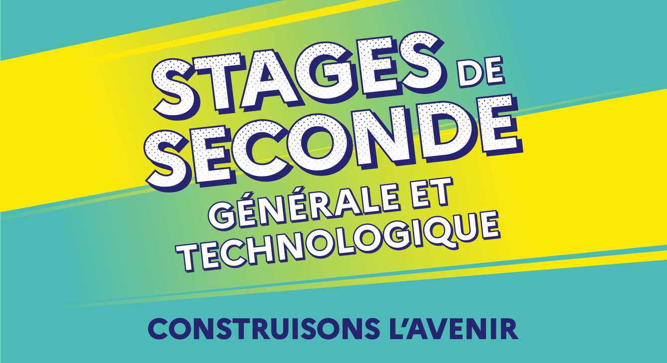 stage de seconde